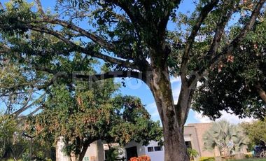 VENDO LOTE CONDOMINIO MANANTIAL DE LAS MERCEDES JAMUNDI VALLE DEL CAUCA