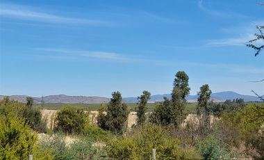 Parcela en Venta en Loteo Lomas de Rauquén