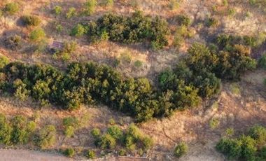 Parcela en Venta en Loteo Lomas de Rauquén