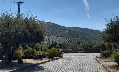 Parcela en Venta en Loteo Lomas de Rauquén