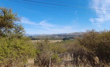 Parcela en Venta en Loteo Lomas de Rauquén