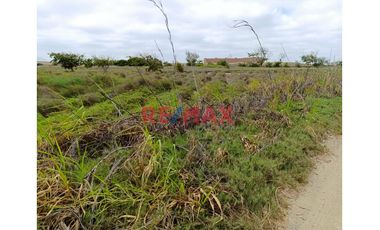 Venta De Terreno 5 Hectáreas En Paijan - Razuri.