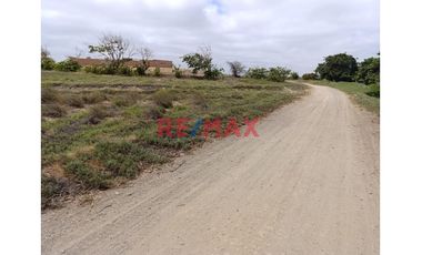 Venta De Terreno 5 Hectáreas En Paijan - Razuri.