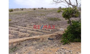 Venta De Terreno 5 Hectáreas En Paijan - Razuri.