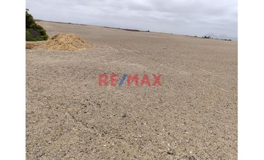 Venta De Terreno 5 Hectáreas En Paijan - Razuri.