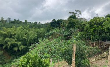 Se vende Hermosa Finca via Altagracia