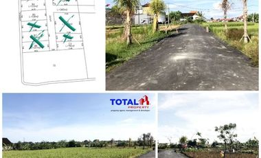 Dijual Tanah Kavling Mulai 90 m2 Kawasan Asri Sawah Hijau STRATEGIS Hrg 300 Jtan/are di Siulan Penatih, Denpasar Timur