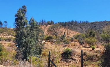 Parcela en Venta en Camino Lo Orozco Cruce Colliguay