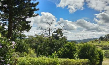Finca en venta en Piendamo. Cod V18948
