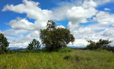 Finca en venta en Piendamo. Cod V18948