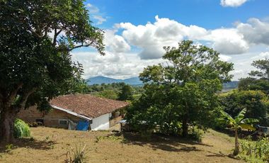 Finca en venta en Piendamo. Cod V18948