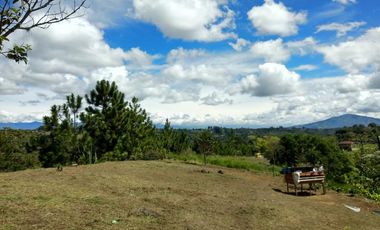 Finca en venta en Piendamo. Cod V18948