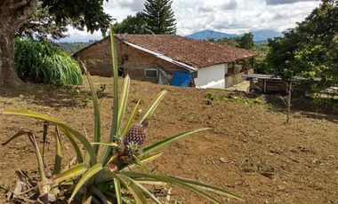 Finca en venta en Piendamo. Cod V18948