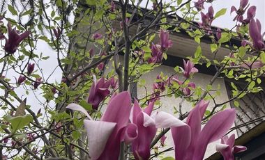 Casa en venta Alameda en Rancagua