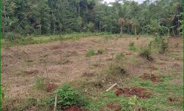 Kapling Perumahan dekat Water Boom Garut, Batang: Legalitas SHM