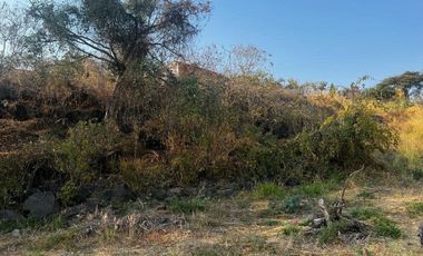Terreno en venta Lomas de Trujillo Emiliano Zapata Morelos