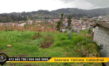 Terreno de venta en Unión Alta de Baños – código:15085