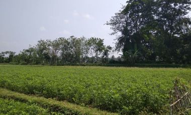 Tanah Kavling Area Ibu Kota Kabupaten Bogor Barat