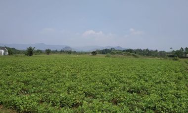 Tanah Kavling Area Ibu Kota Kabupaten Bogor Barat