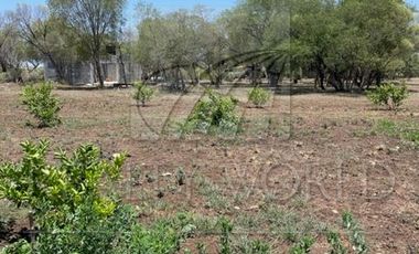 Quintas en Venta en El Brasil