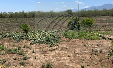 Quintas en Venta en El Brasil