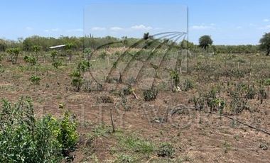 Quintas en Venta en El Brasil