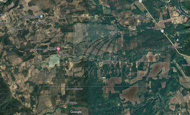 Quintas en Venta en El Brasil