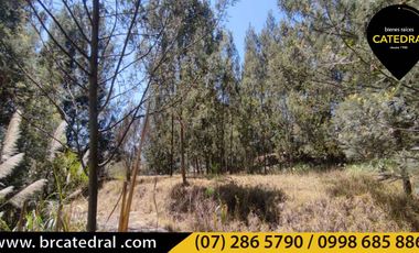 Terreno de venta en Challuabamba - La Cofradía – código:15491