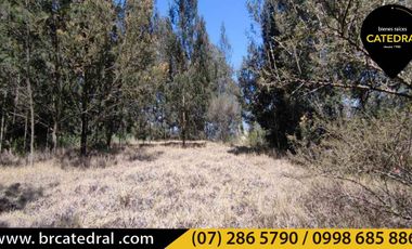 Terreno de venta en Challuabamba - La Cofradía – código:15491