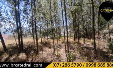 Terreno de venta en Challuabamba - La Cofradía – código:15491