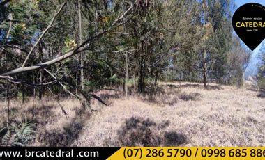 Terreno de venta en Challuabamba - La Cofradía – código:15491