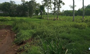 YUK SEGERA BOOKING TANAH MURAH DI KAWASAN YANG MENGUNTUNGKAN DI MALANG