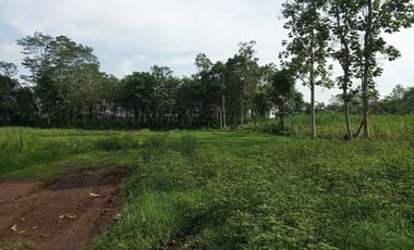 YUK SEGERA BOOKING TANAH MURAH DI KAWASAN YANG MENGUNTUNGKAN DI MALANG