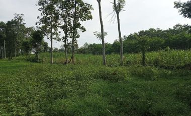 YUK SEGERA BOOKING TANAH MURAH DI KAWASAN YANG MENGUNTUNGKAN DI MALANG