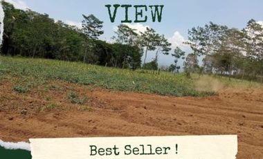 YUK SEGERA BOOKING TANAH MURAH DI KAWASAN YANG MENGUNTUNGKAN DI MALANG
