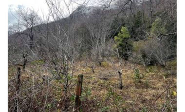 Parcela Agricola en ribera norte Lago Caburgua