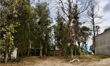 Lote multifamiliar hotelero. Sobre Avenida Bunge de Pinamar.