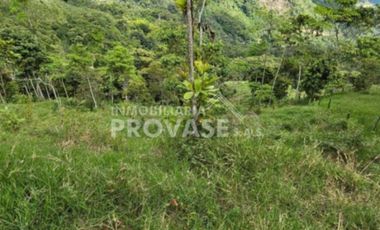 finca en venta en centro. Cod V103642