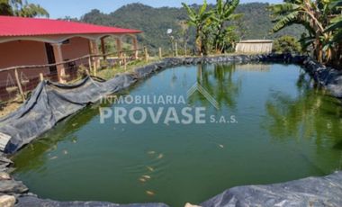 finca en venta en centro. Cod V103642