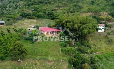 finca en venta en centro. Cod V103642