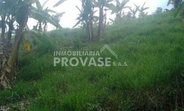 finca en venta en centro. Cod V103642