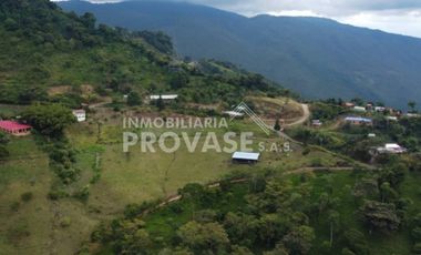 finca en venta en centro. Cod V103642