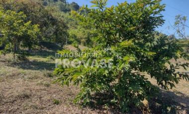 finca en venta en centro. Cod V103642