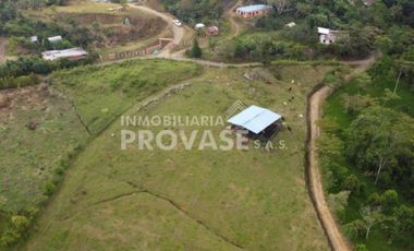 finca en venta en centro. Cod V103642