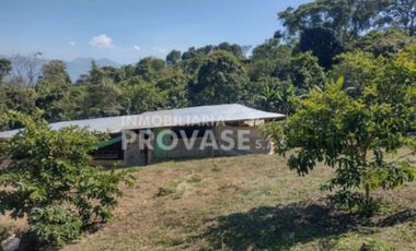 finca en venta en centro. Cod V103642