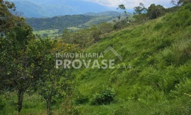 finca en venta en centro. Cod V103642