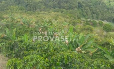 finca en venta en centro. Cod V103642