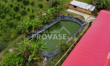 finca en venta en centro. Cod V103642