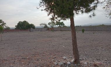 LOS ANGELES, CORREGIDORA, TERRENO BARDEADO RENTA,  15,000m2 a $25.00m2,   NJ