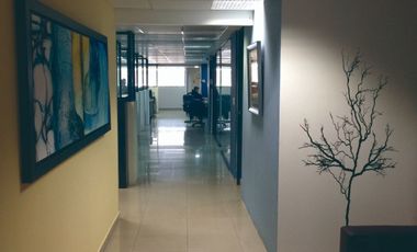 RENTA EDIFICIO PRECIO P0R  $280,00  m2